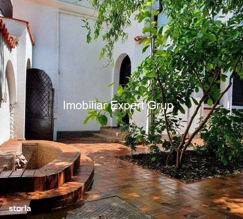 Dacia-Vasile Lascar - Imagine principală: 4/7