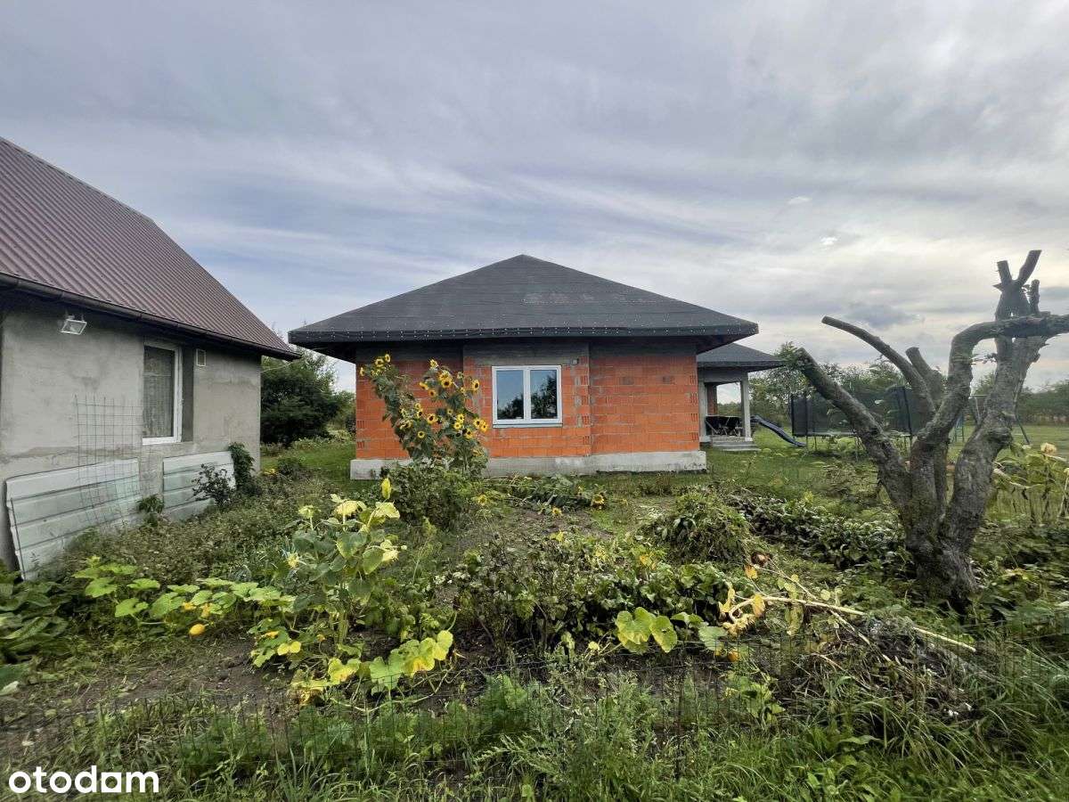 Blisko Pkp, duża działka, dom Nowinki - Pełny obrazek: 5/10