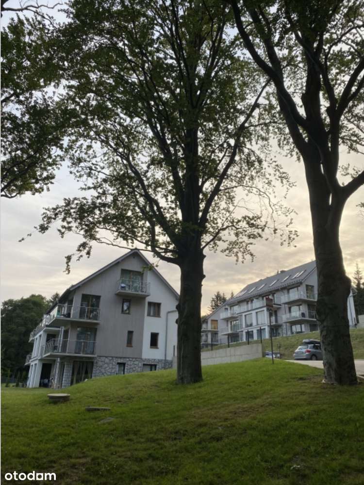 Cisza i spokój – apartament w cenie netto 480 tys.-11