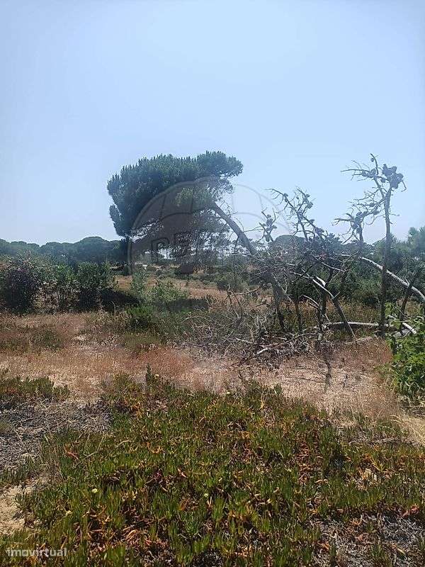 Terreno  para venda - Grande imagem: 5/5