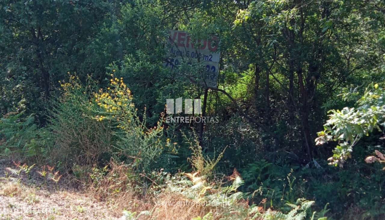 Venda de Terreno Industrial, Mazarefes, Viana do Castelo - Grande imagem: 2/27