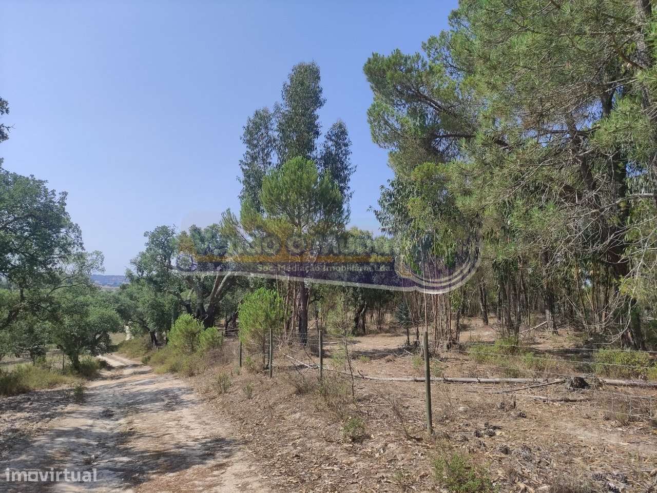 Monte Alentejano em Mora (MOR037) - Grande imagem: 1/32