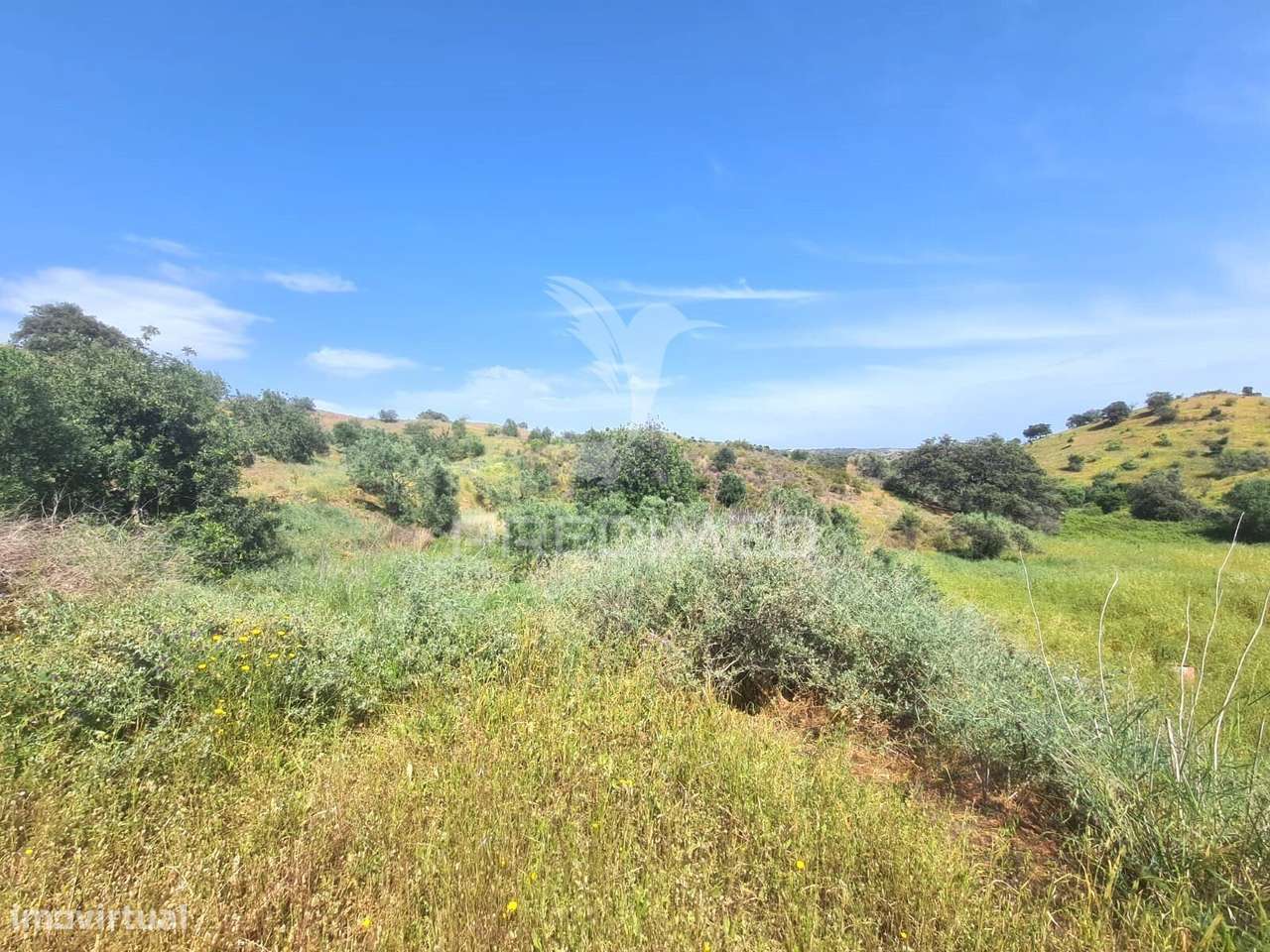 Ruina T2 com Terreno - Grande imagem: 4/5