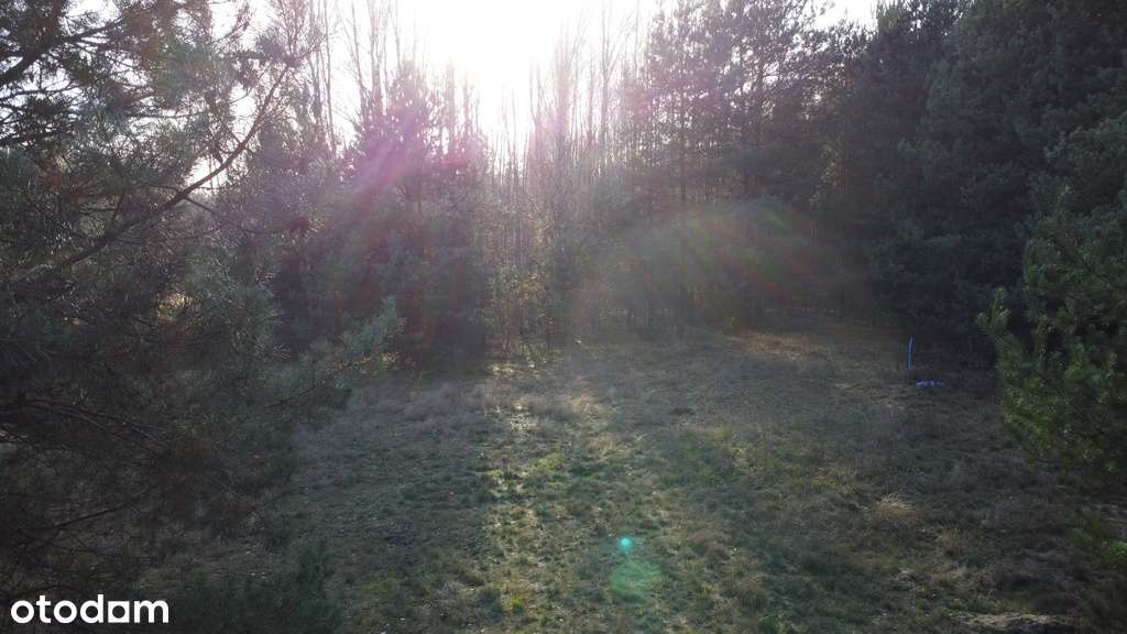 Na sprzedaż wyjątkowa nieruchomość – dwie działki - Pełny obrazek: 2/13