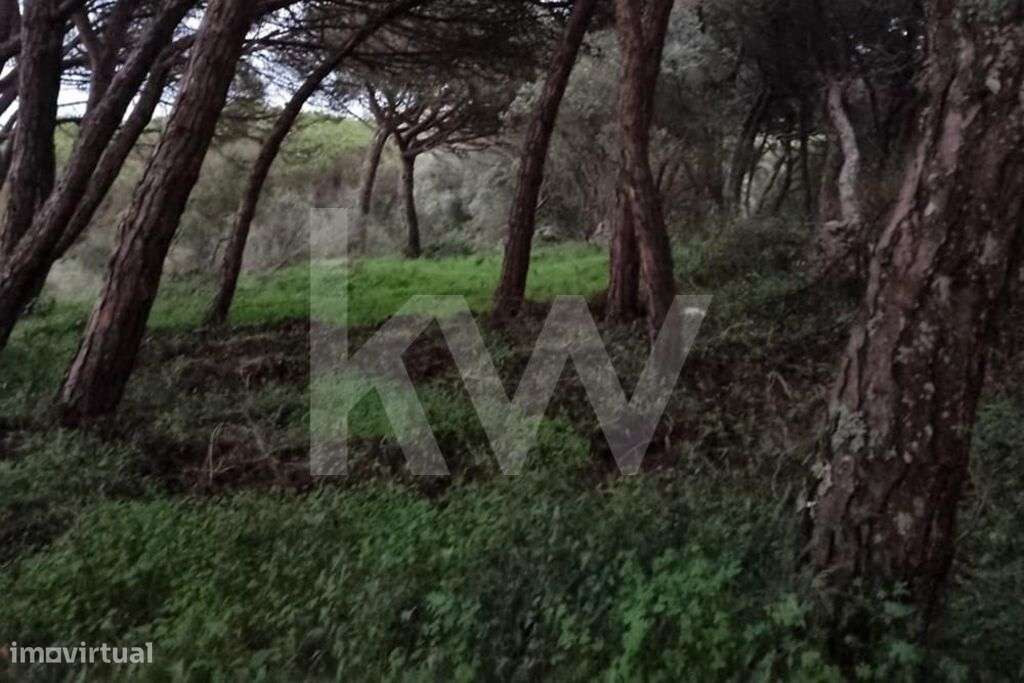 Terreno Rústico (1480m2) para venda em São João das Lampas - Grande imagem: 3/7