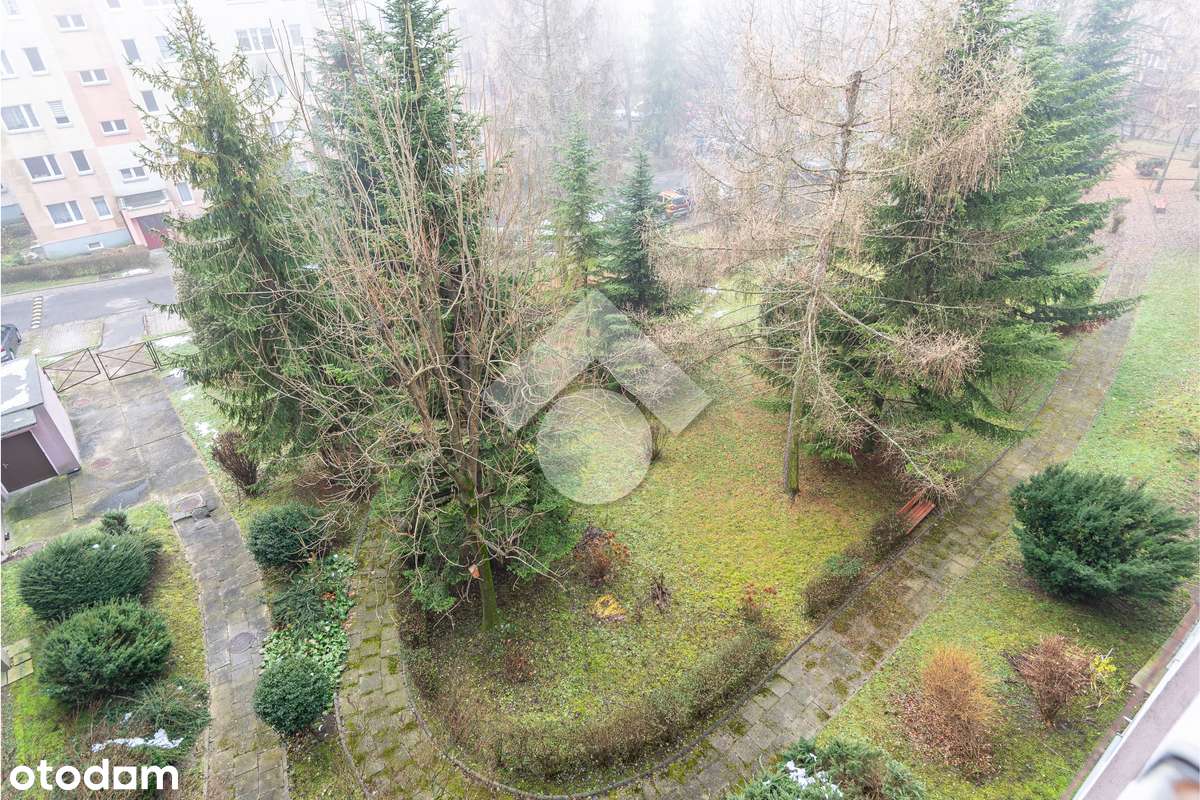 Jasne 2-pokojowe mieszkanie z loggią i osobną kuchnią-9