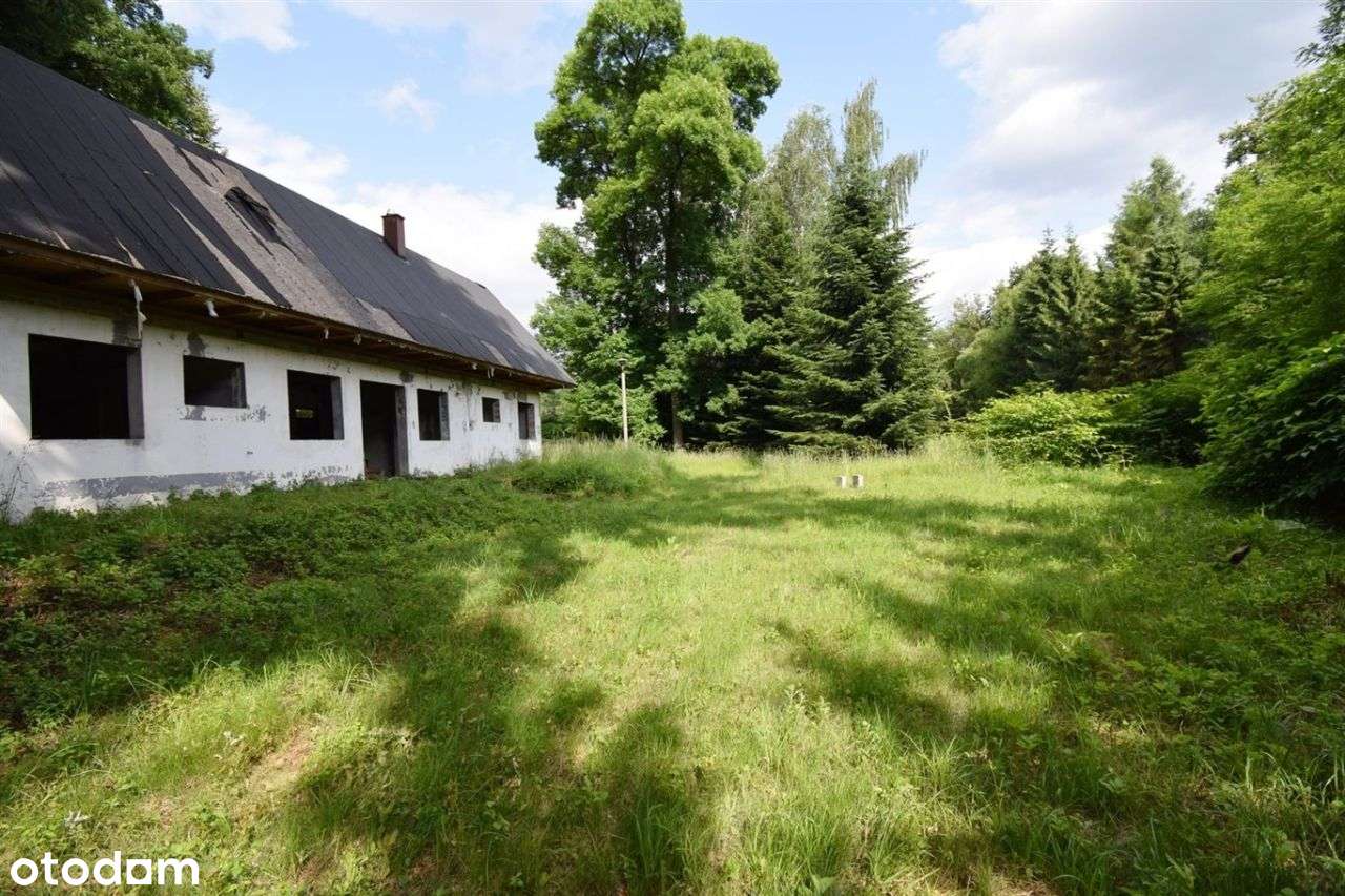 Budynek Rekreacyjny 80m2, Drogomyśl,Działka 4435m2 - Pełny obrazek: 5/20