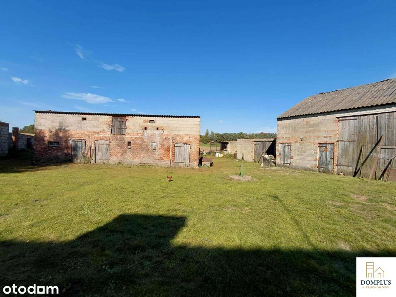 Urokliwe siedlisko w Ryżynie, gm. Chrzypsko Wielkie. - Pełny obrazek: 5/15