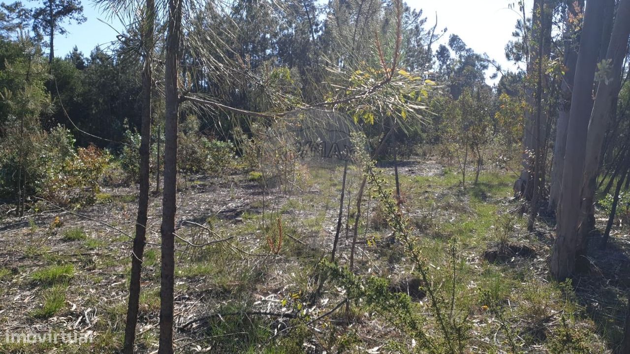 Terreno  para venda