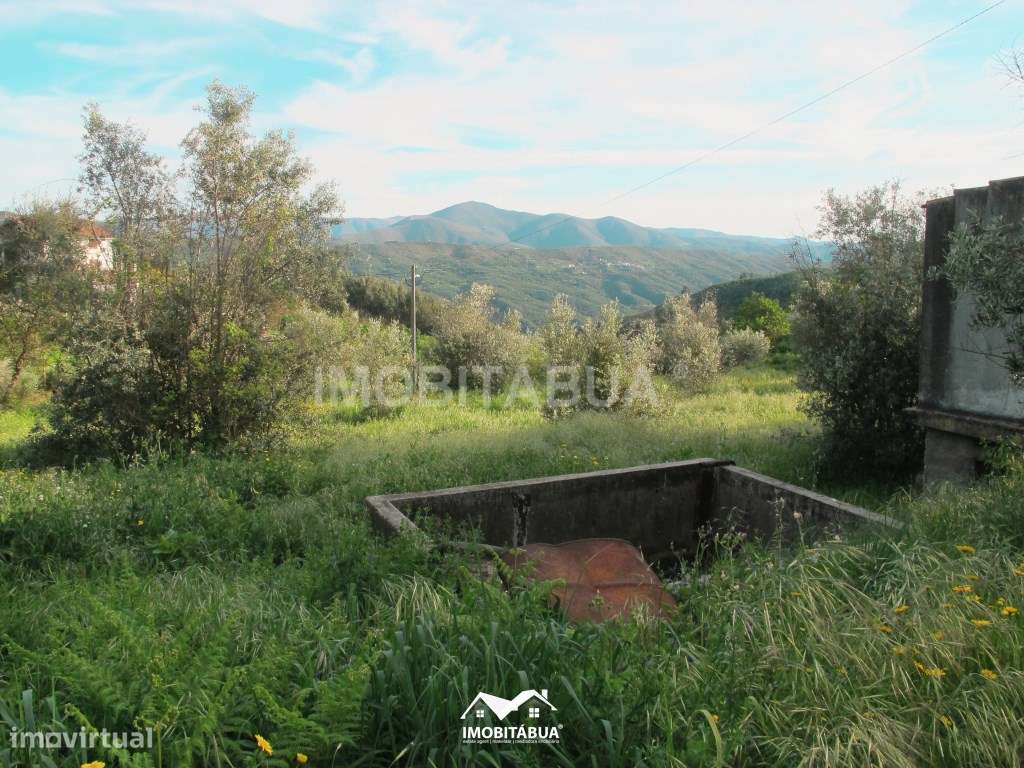 Terreno rústico de 8000 m2 com viabilidade de construção a cerca de...-12