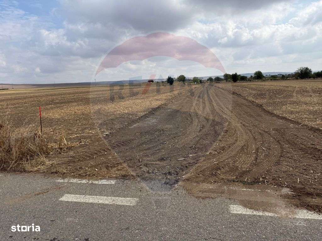 Teren Isalnita 400 mp - Imagine principală: 2/6