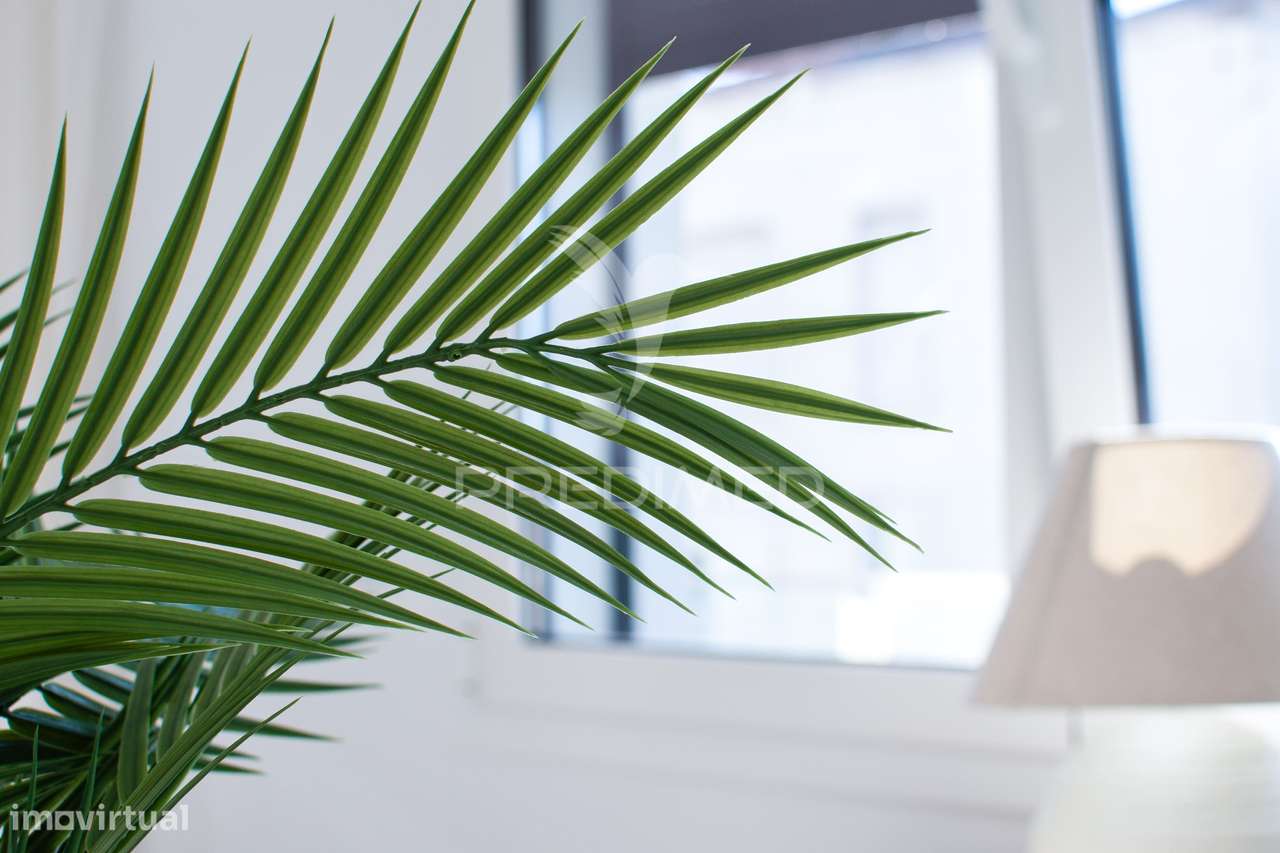 Apartamento T3 em Alcanena - Grande imagem: 3/23