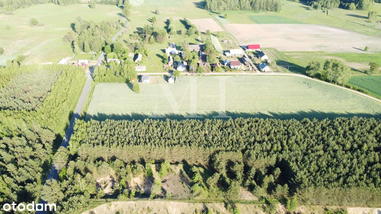 Zielone Podlasie – działka z warunkami zabudowy, blisko Hajnówki! - Pełny obrazek: 4/9
