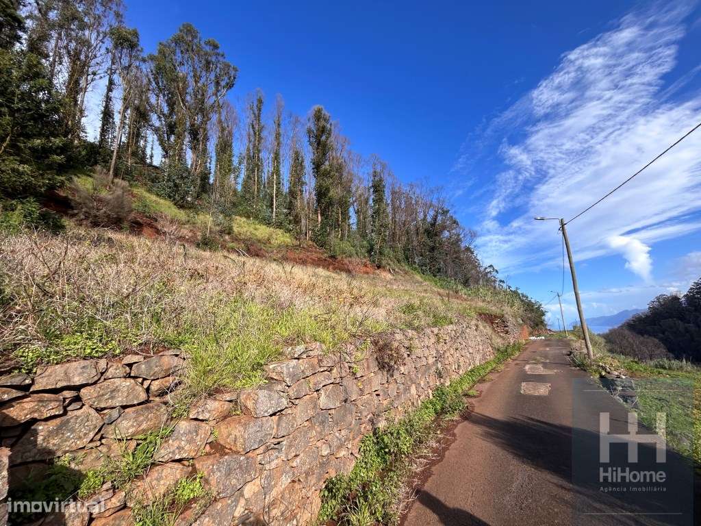 Terreno para construção Porto Moniz - Grande imagem: 5/14
