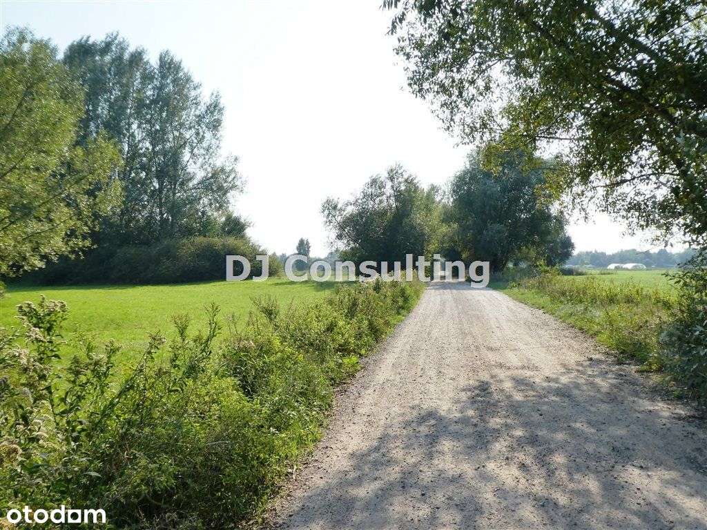 Dziekanów - Malownicza działka siedliskowa_jezioro