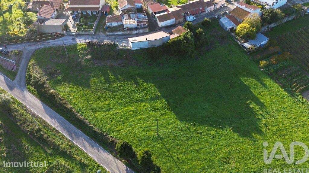 Terreno em Abrunheira, Verride e Vila Nova da Barca - Grande imagem: 5/14