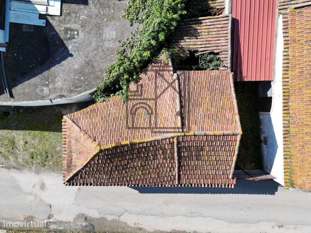 Adega para transformação em moradia-5