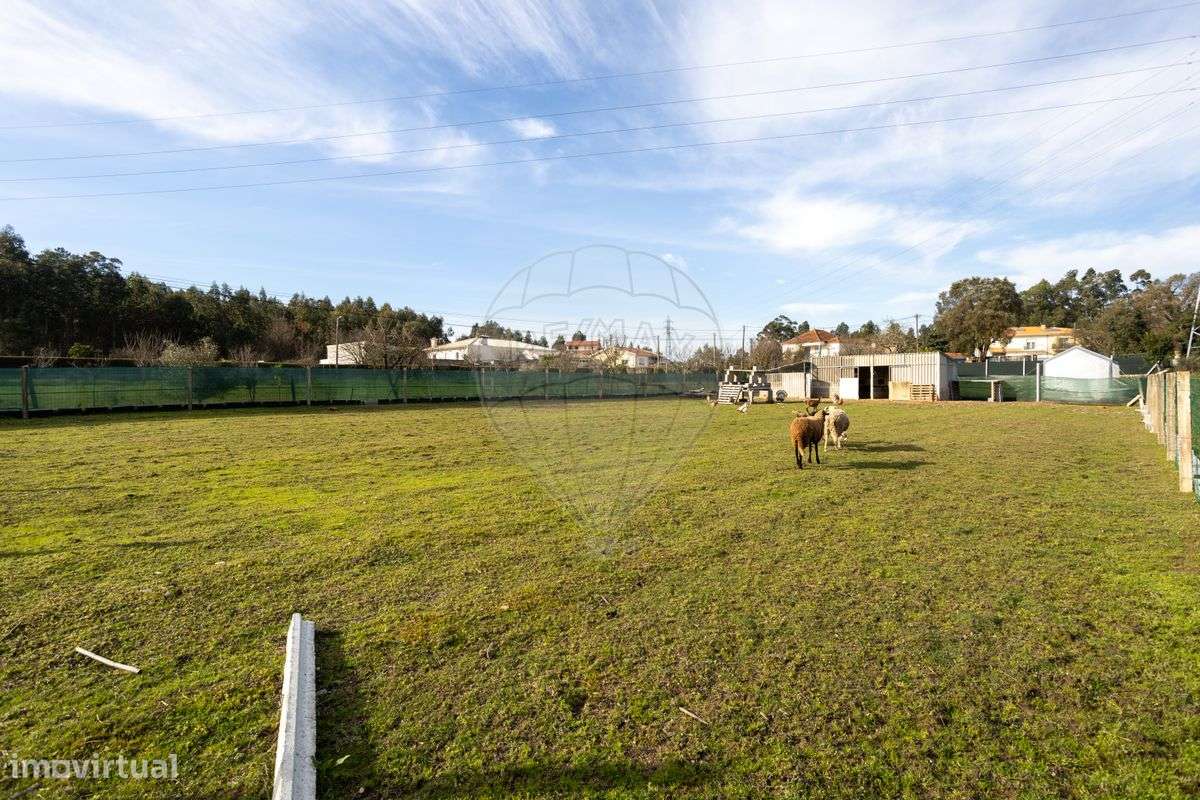 Terreno  para venda - Grande imagem: 3/3