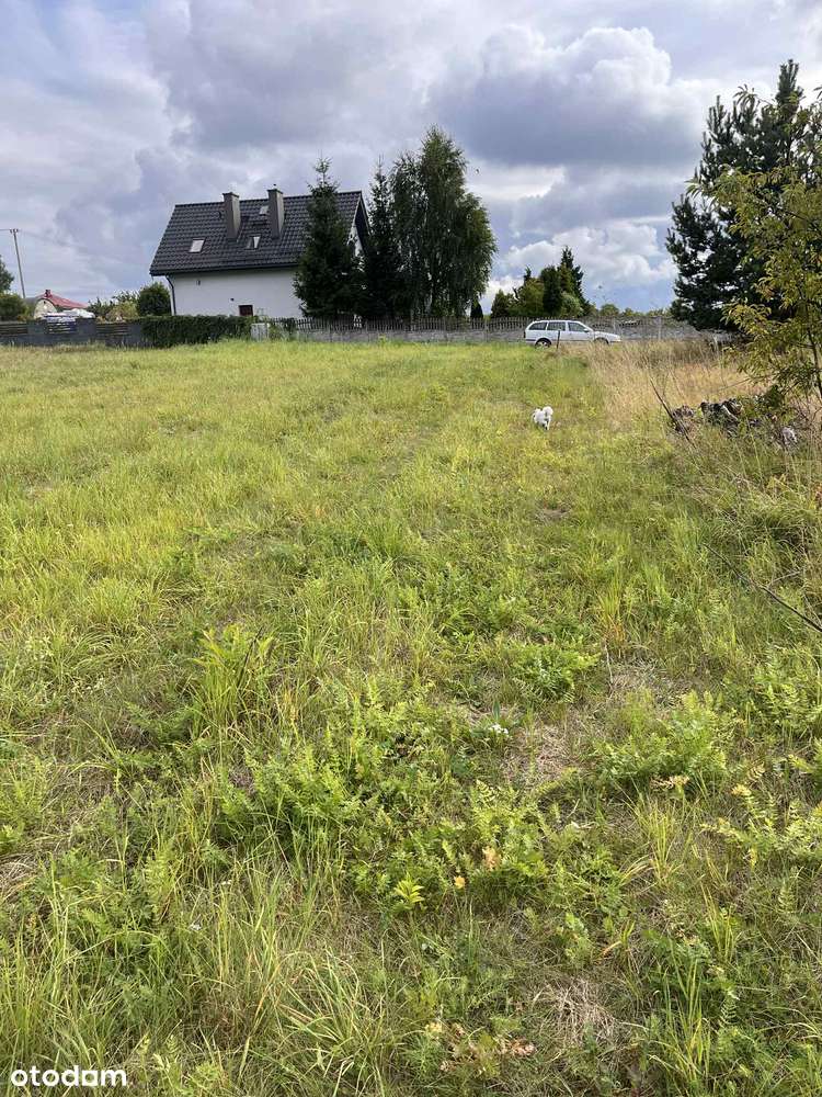 Działka, 7 500 m², Kwaśniów Górny - Pełny obrazek: 5/6