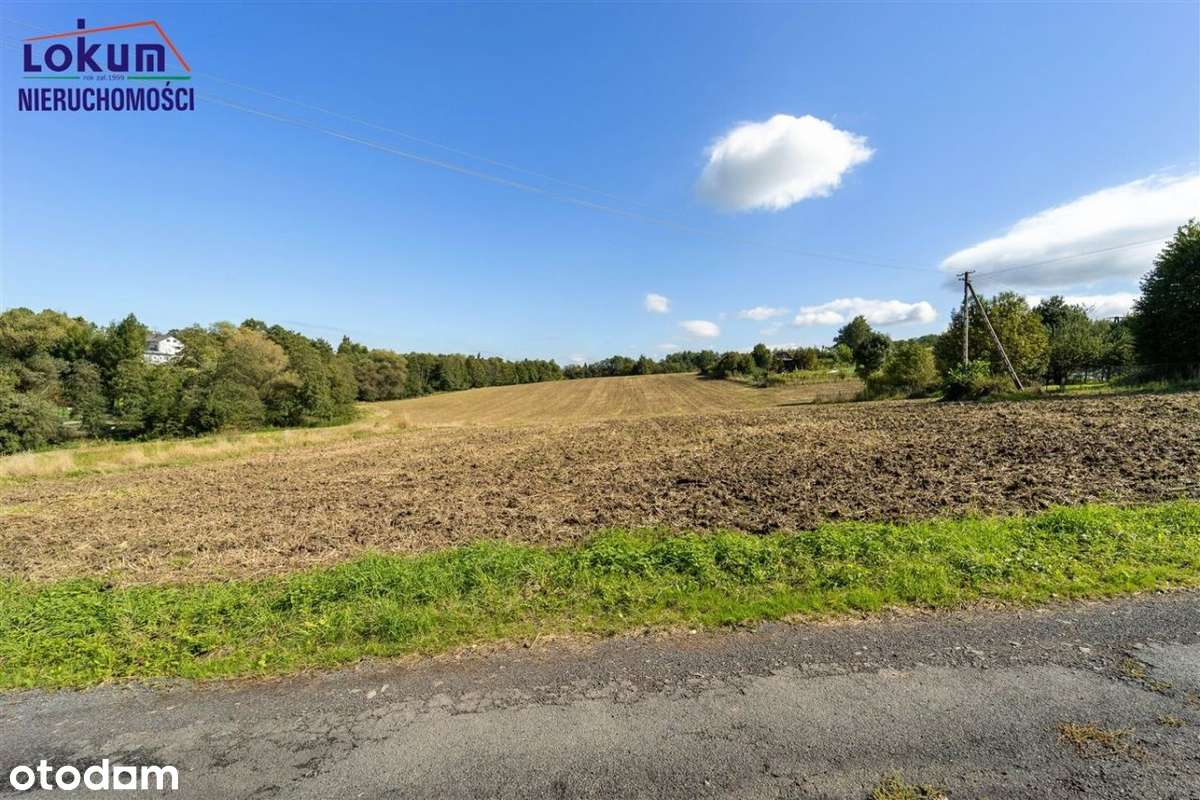 Międzyświeć - działka 1562 m², dojazd, media-5