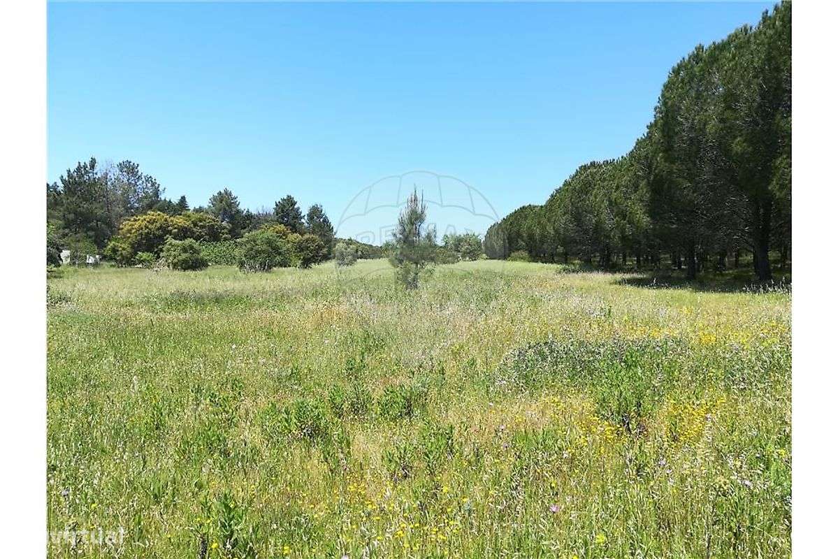 Terreno  para venda-8