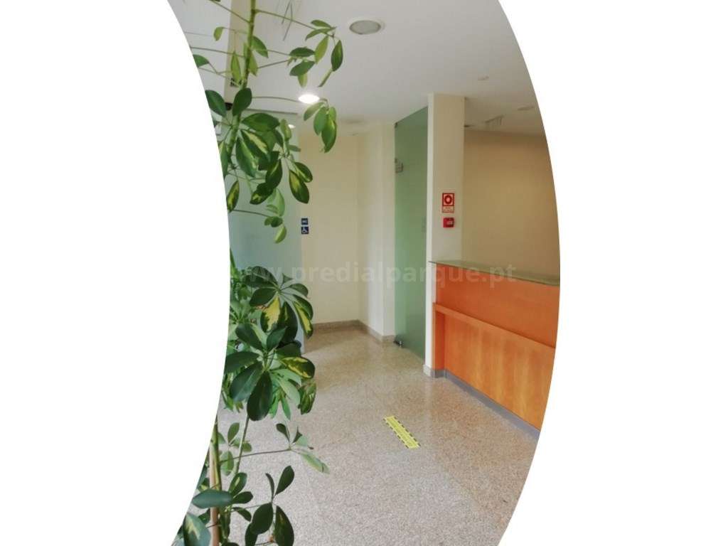 Loja com 2 frentes, Campo Alegre - Grande imagem: 4/22