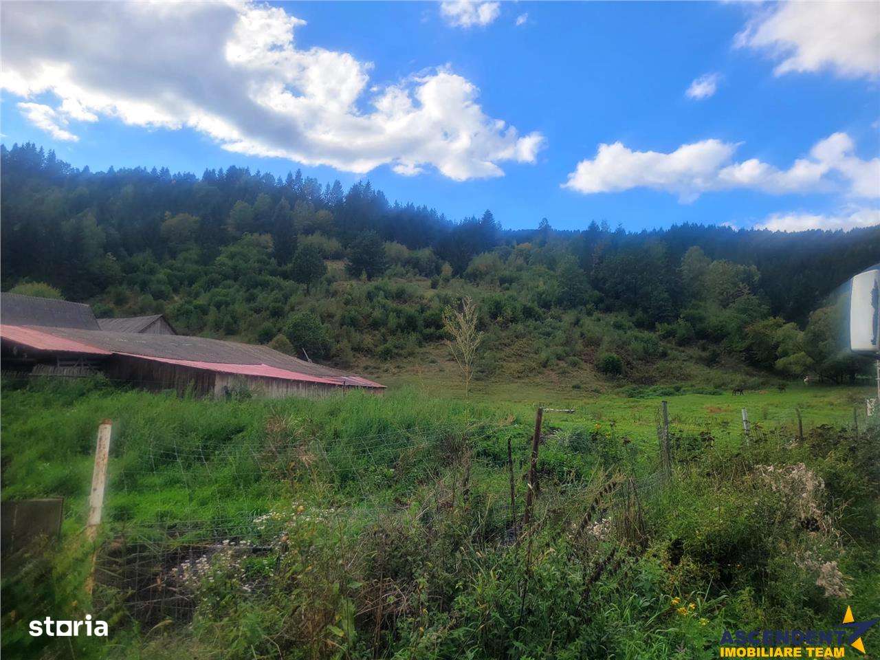 FILM! Teren 33.274 mp, Tulghes, Harghita, panorama munte, destinatie r - Imagine principală: 3/7