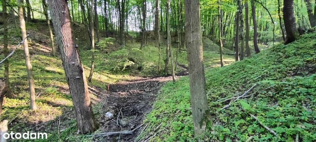 Atrakcyjna działka widokowa z lasem-4