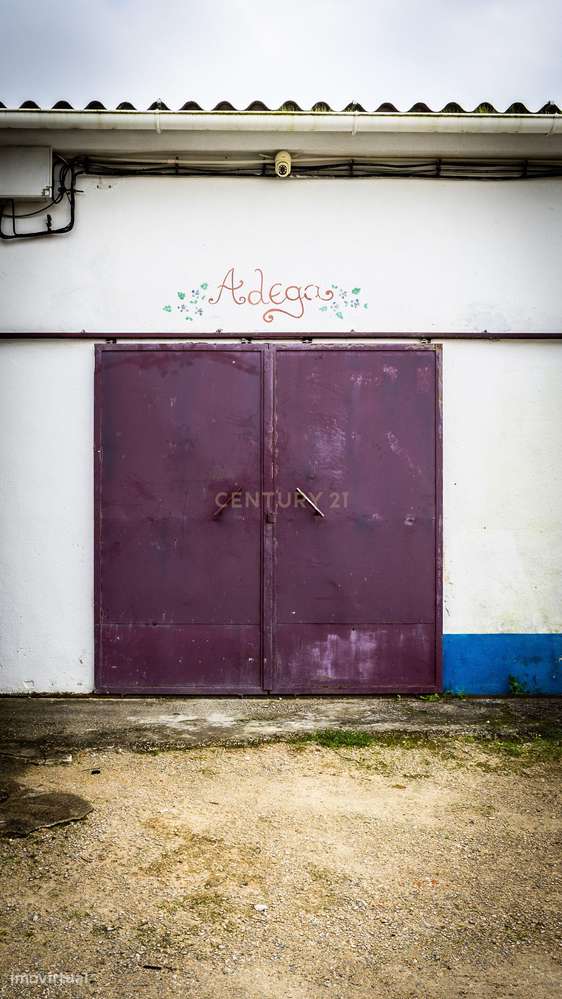 Quinta de 7800 m2  com Casa Principal T3, Apartamento T1 e 6 quartos i-31