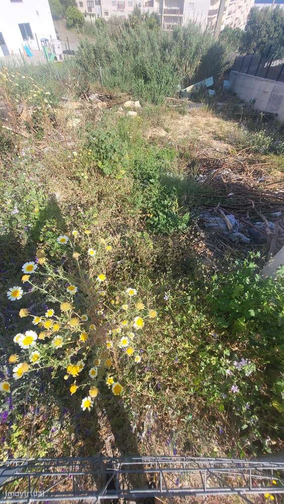 Terreno Urbano em Santo António dos Cavaleiros, Loures - Grande imagem: 4/4
