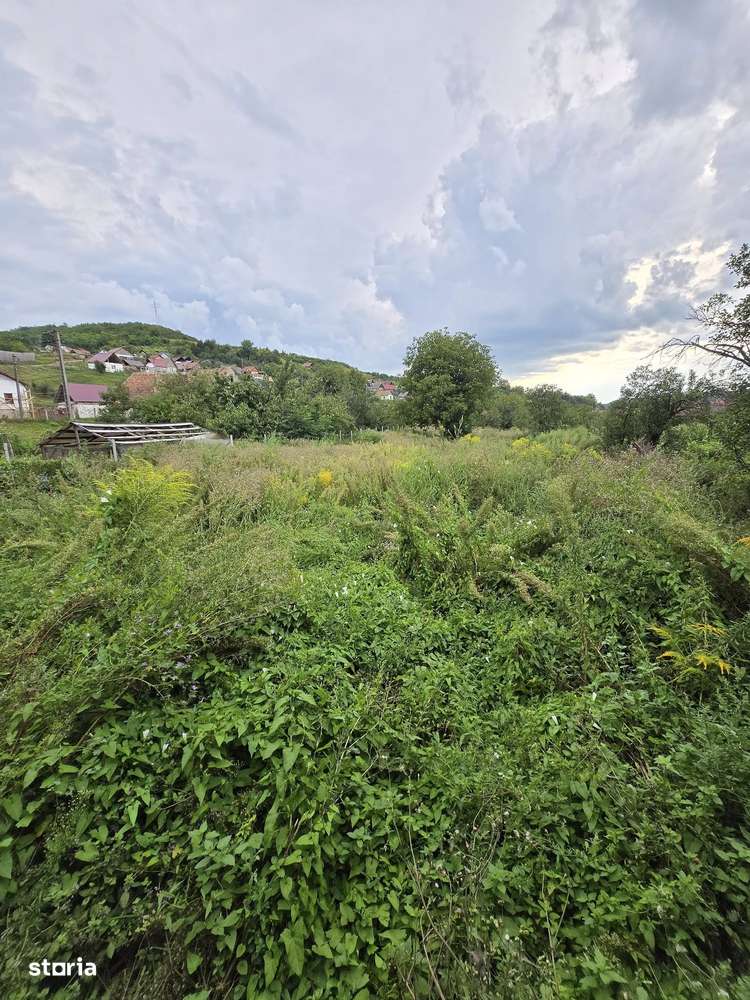 Casa de vanzare - Saros pe Tarnave-15