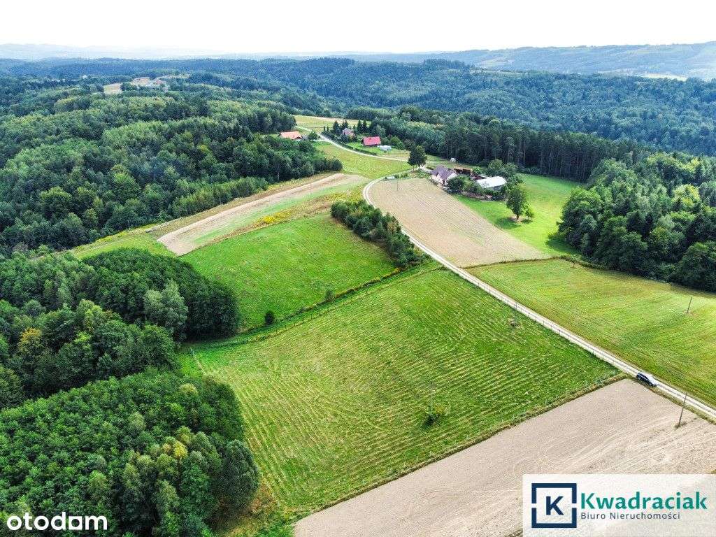 Huta Gogołowska – działki z widokiem, Wz, mediami.-9