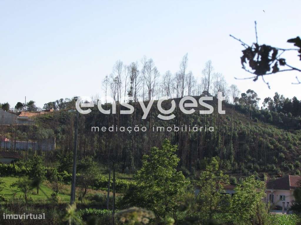 Terreno misto com 30 metros de frente em Aveiro (Carregal) - Grande imagem: 4/10