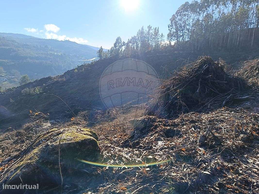 Terreno  para venda - Grande imagem: 4/4