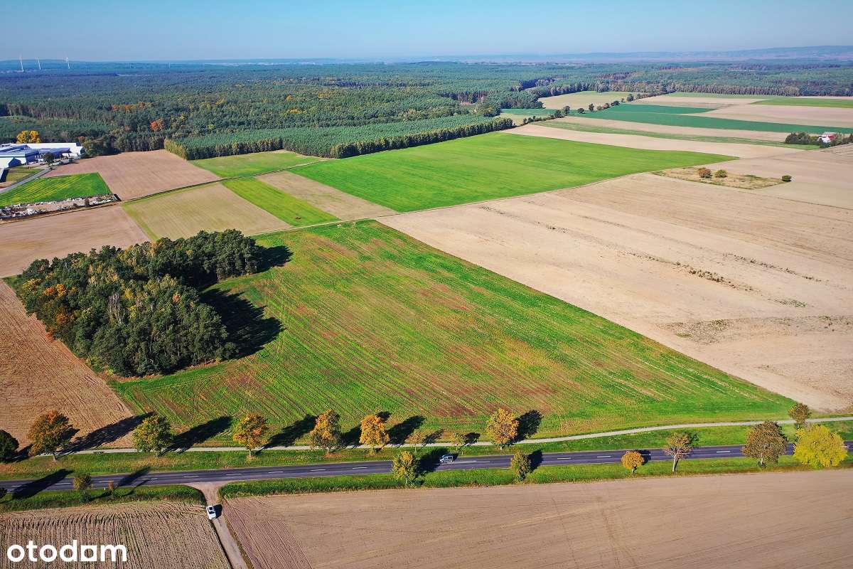 Działka budowlana przy lesie - Margonin-3