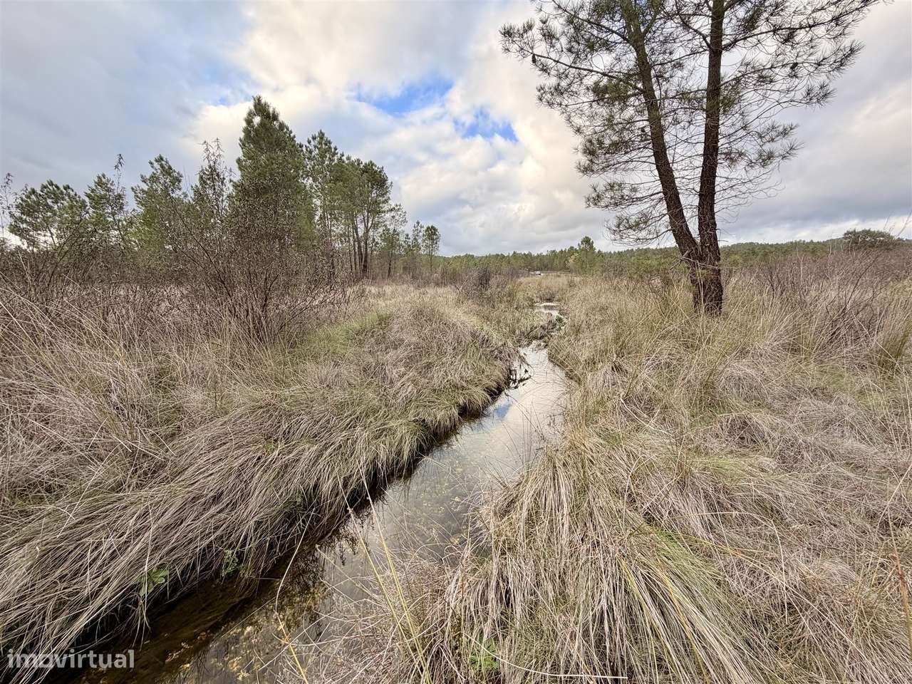 Quinta T0 Venda em Sarzedas,Castelo Branco-11