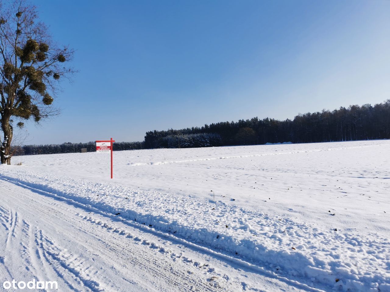 Działka budowlana w leśnej scenerii 11km od Olesna