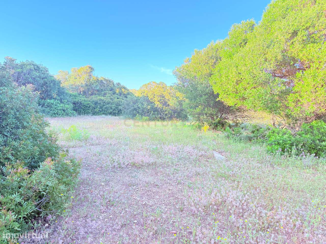 Terreno com Vista Mar - Zona Privilegiada de Moncarapacho - Grande imagem: 2/6