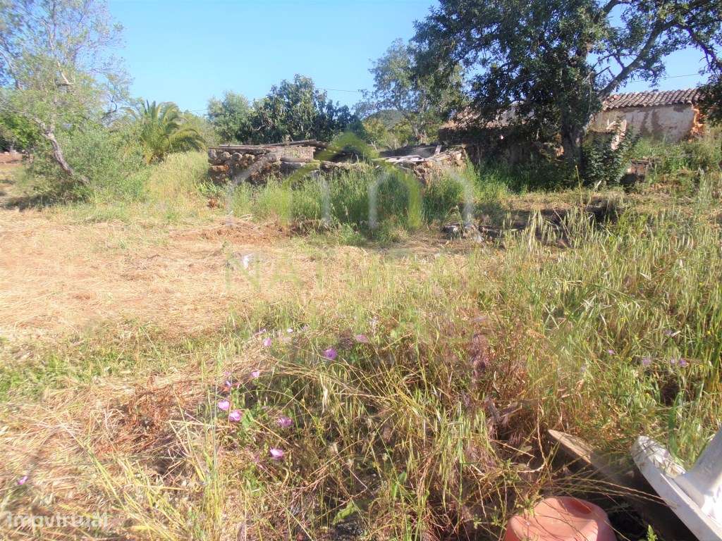 Ruína com Terreno Plano em Santa Bárbara de Nexe, Faro - Grande imagem: 2/9