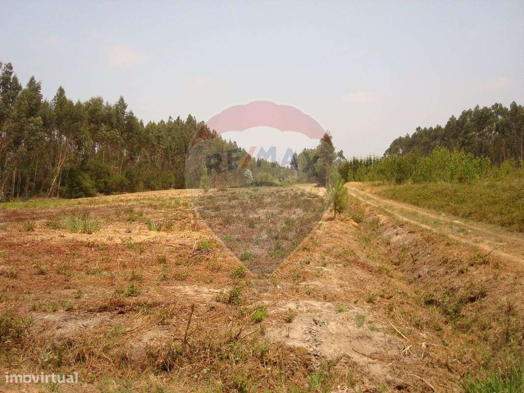 Terreno  para venda - Grande imagem: 4/11