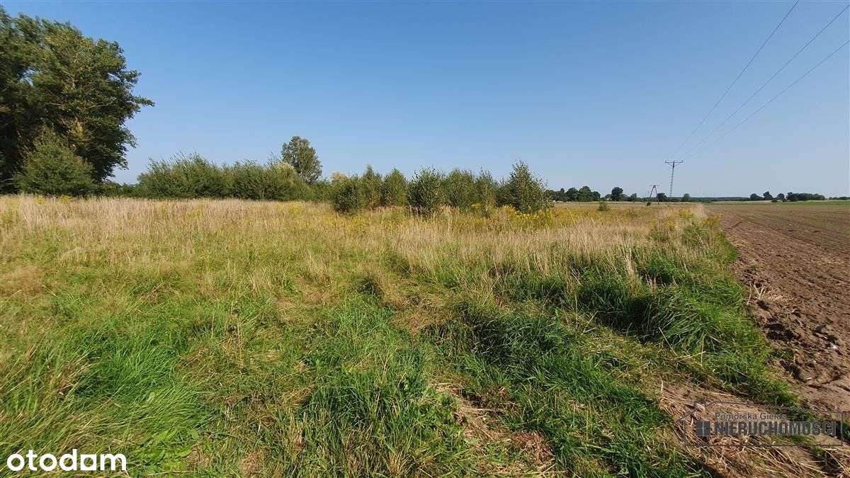 Bielikowo - działka na raty - około 20 minut od Ba-15