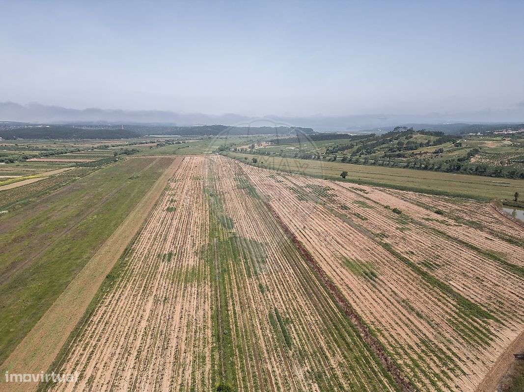 Terreno  para venda - Grande imagem: 5/37