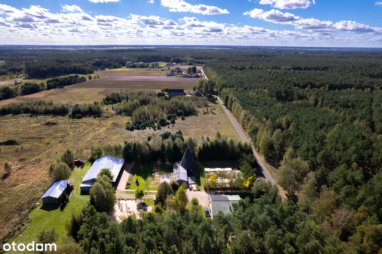 Dom i biznes w otoczeniu lasu-9