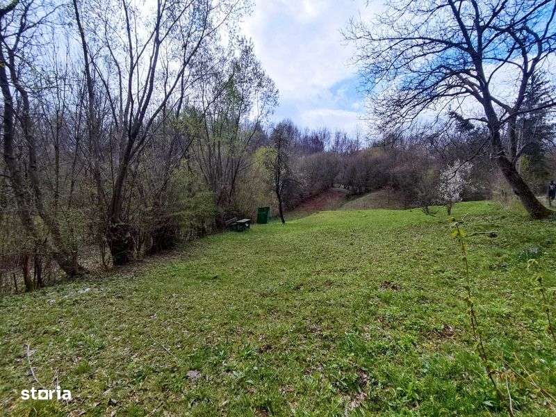 Teren intravilan, Provita de Sus, Prahova - Imagine principală: 4/6