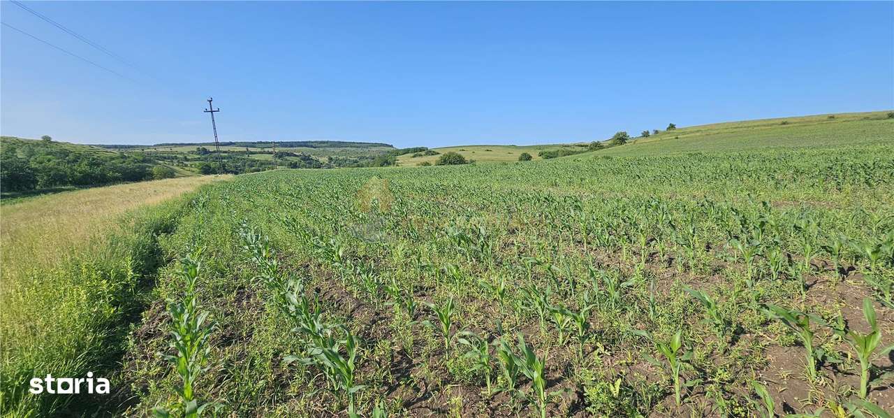 TEREN INTRAVILAN 5800 MP SUCEAGU - Imagine principală: 2/4