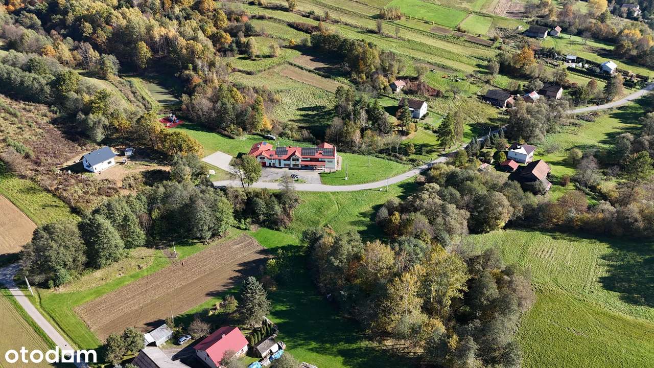 Pietrusza Wola – działka z WZ na 2 domy, media na działce-4