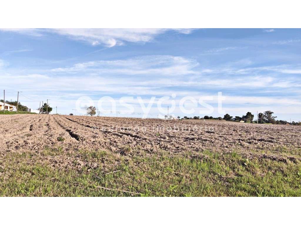 Terreno Rústico Localizado na Carregueira em Pinhal Novo - Grande imagem: 5/15