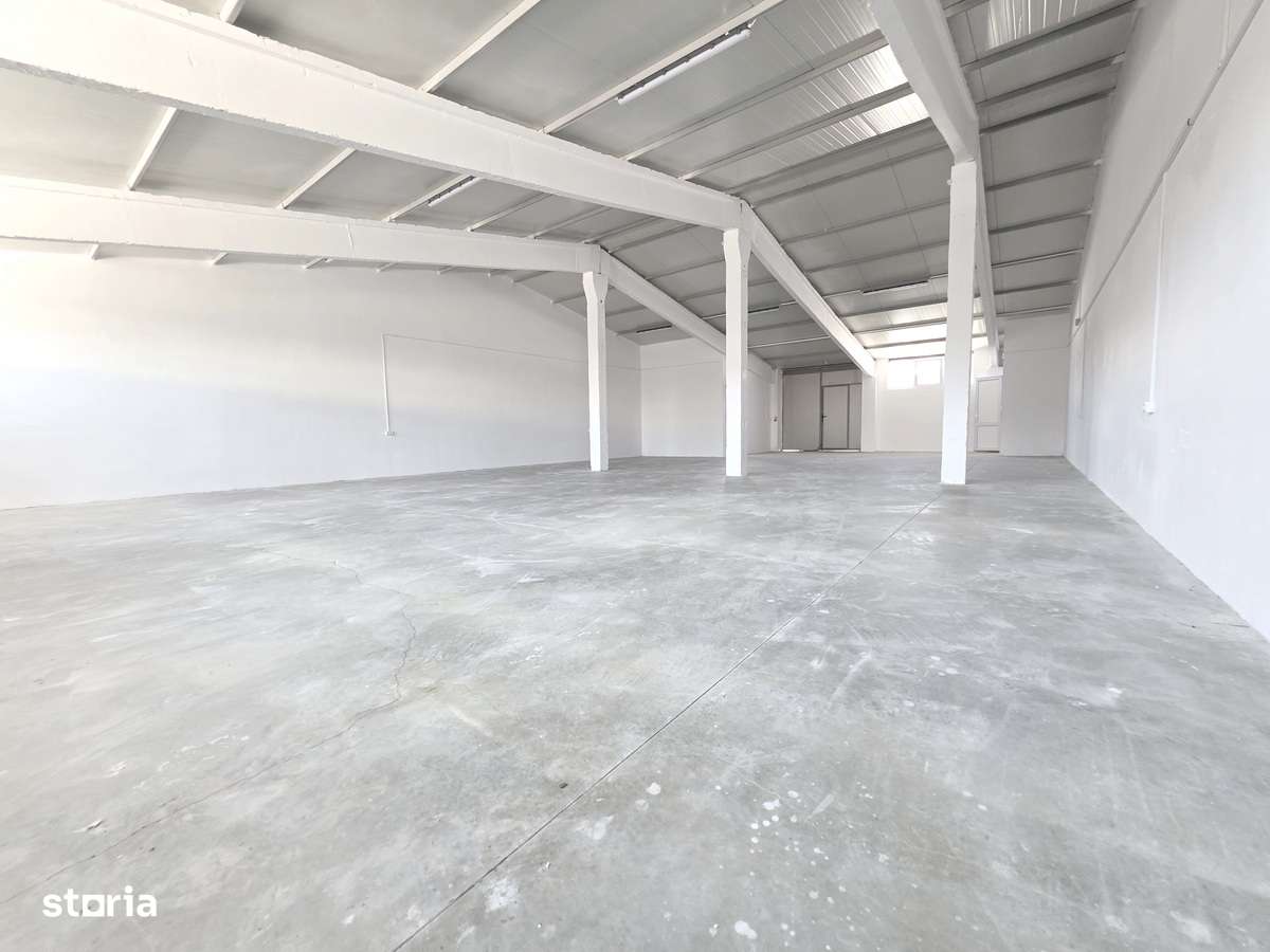 DE INCHIRIAT HALĂ PROFESIONALĂ  TOMEȘTI 165 MP  600 EURO (tva inclus) - Imagine principală: 3/6