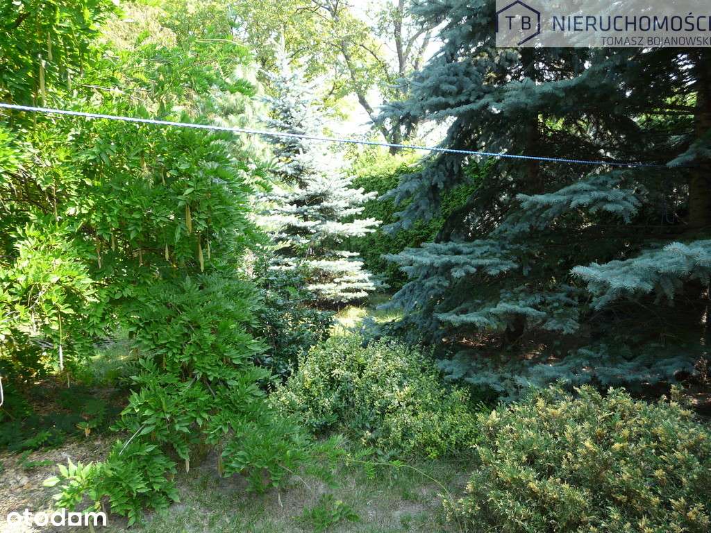 SPRZEDAM WILLĘ W SZAMOTUŁACH-CENTRUM-13