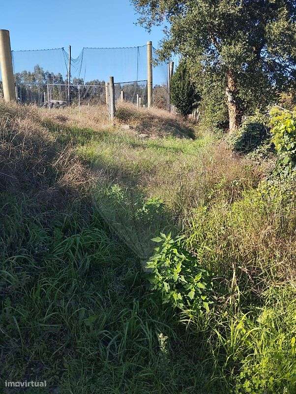 Terreno  para venda - Grande imagem: 3/8